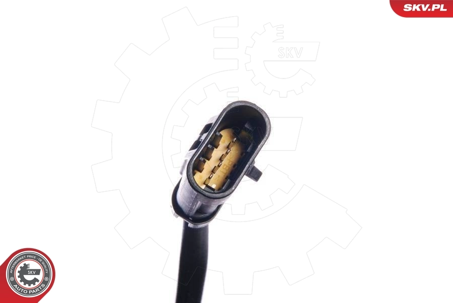 Oxygen Sensor